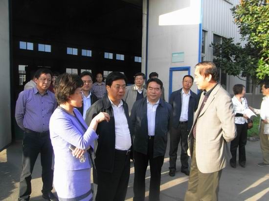 洛陽市委副書記、市長李柳身蒞臨公司調(diào)研機器人軸承項目